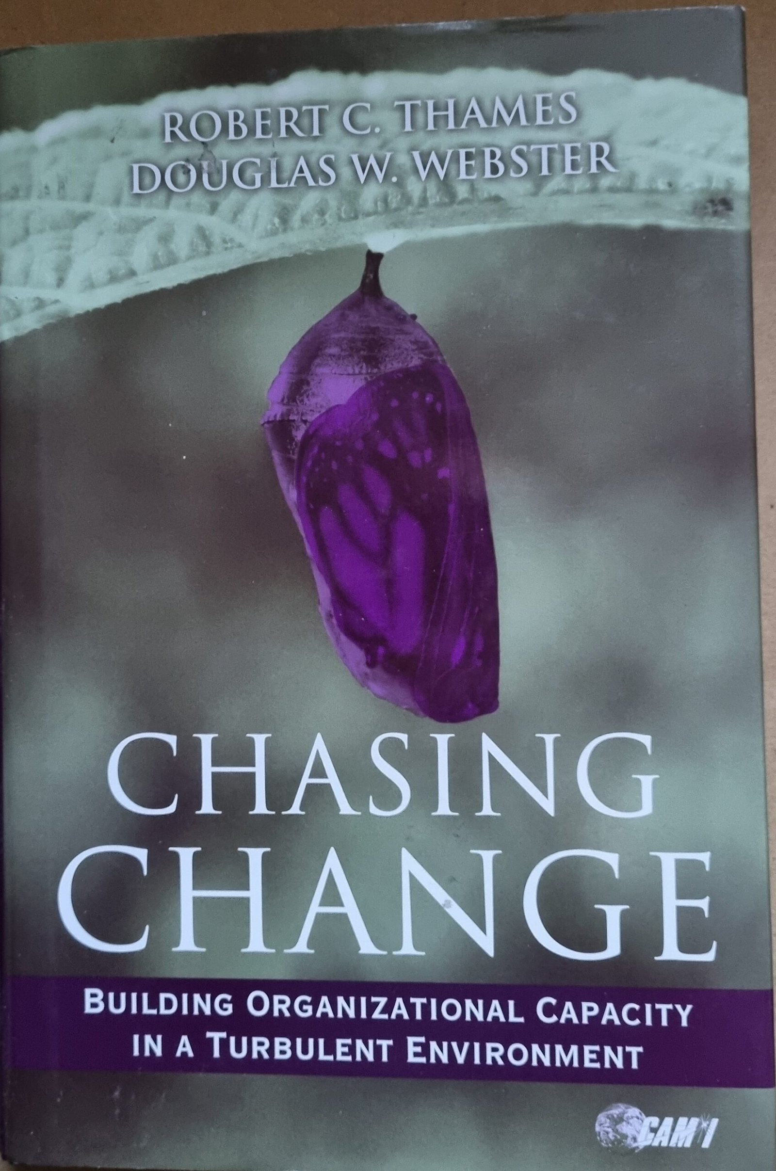 Chasing Change: Building Organizational Capacity in a Turbulent Environment