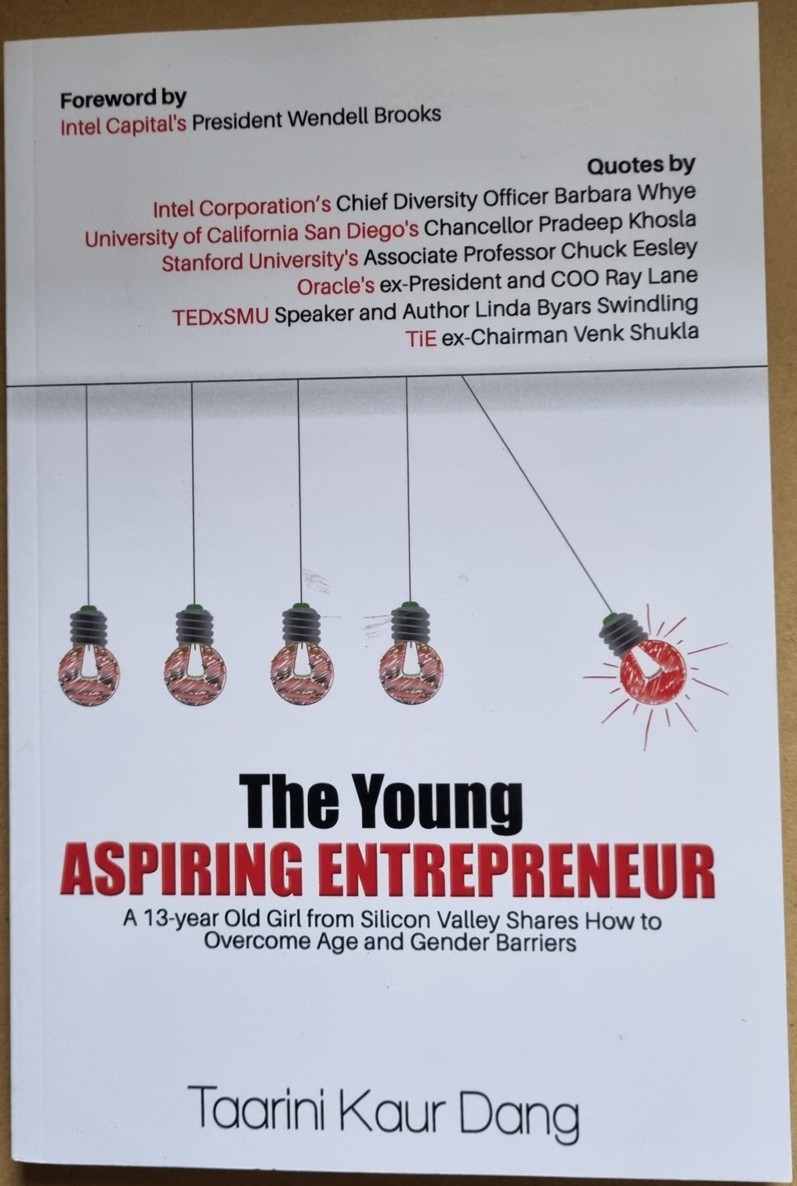The Young Aspiring Entrepreneur
