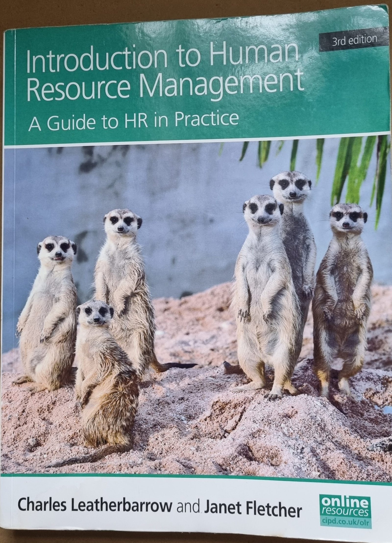 Introduction To Human Resource Management: A Guide to HR in Practice