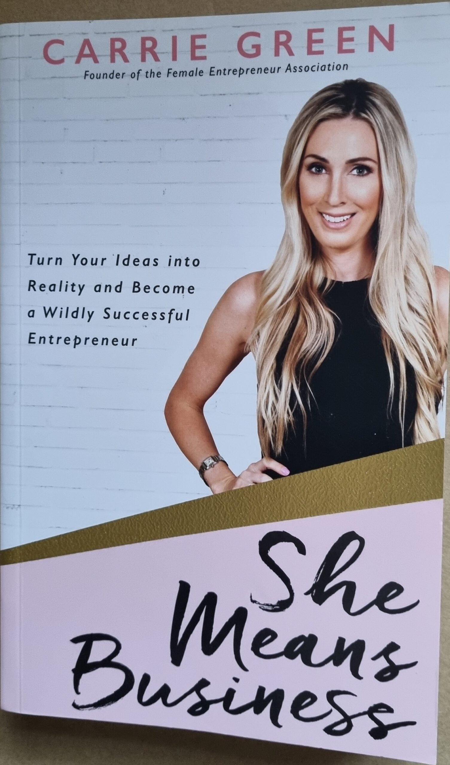 She Means Business: Turn Your Ideas Reality and Become a Wildly Successful Enterpreneur