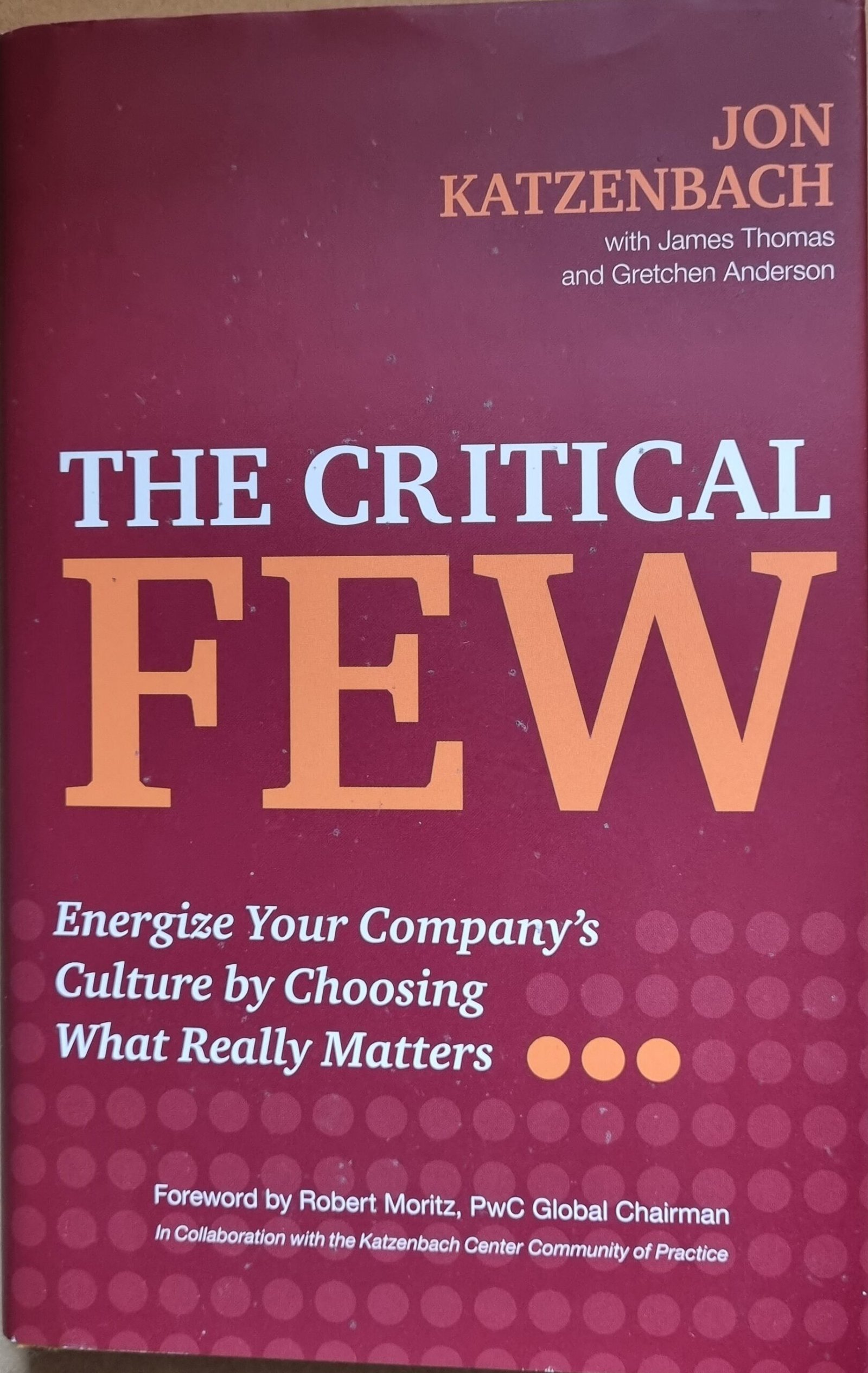 The Critical Few: Energize Your Company's Culture By Choosing What Really Matters