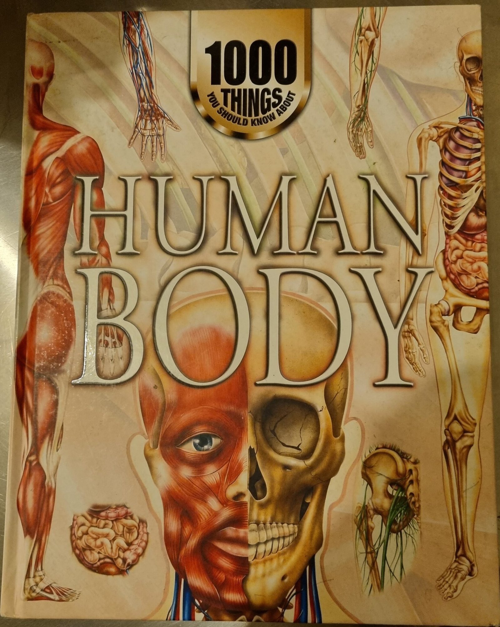 Human Body: 1000 Things