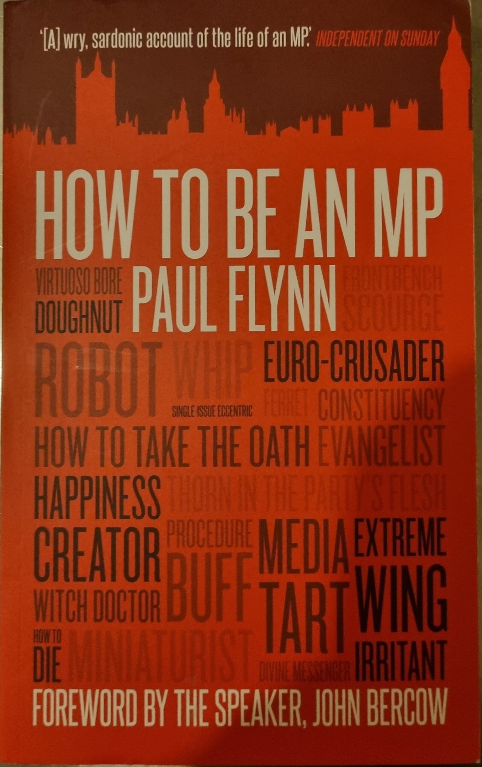 How To Be An MP