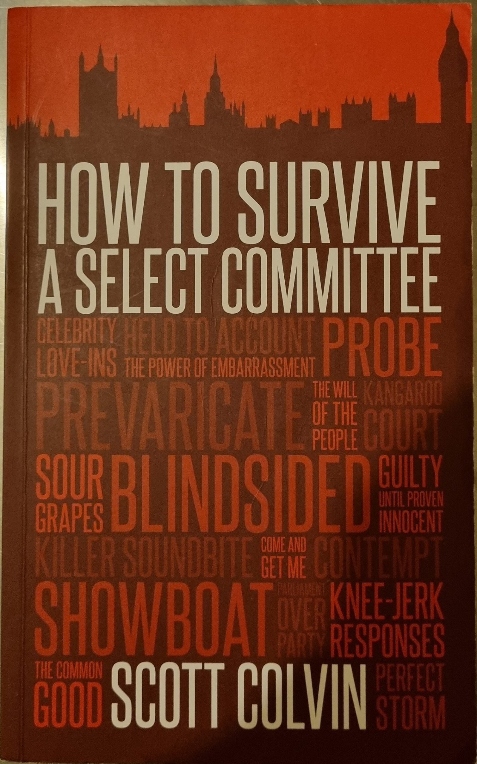 How to Survive a Select Committee