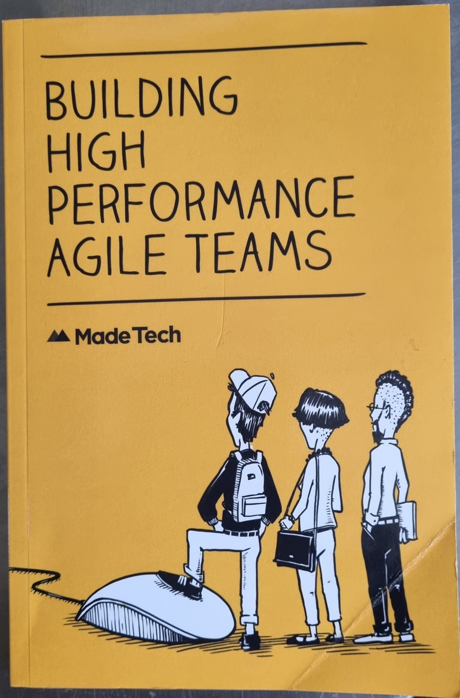 Building High Performance Agile Teams