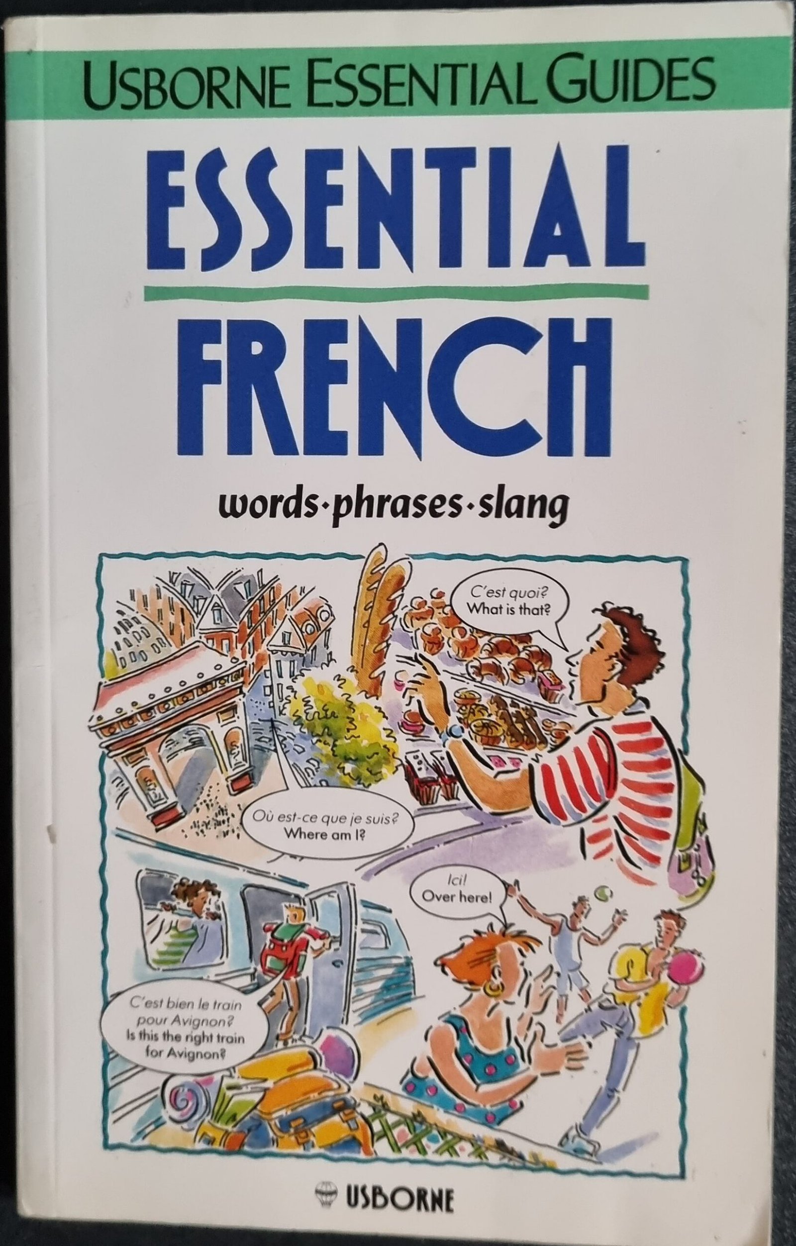 Usborne Essential Guides: Essential French - Words-Phrases-Slang