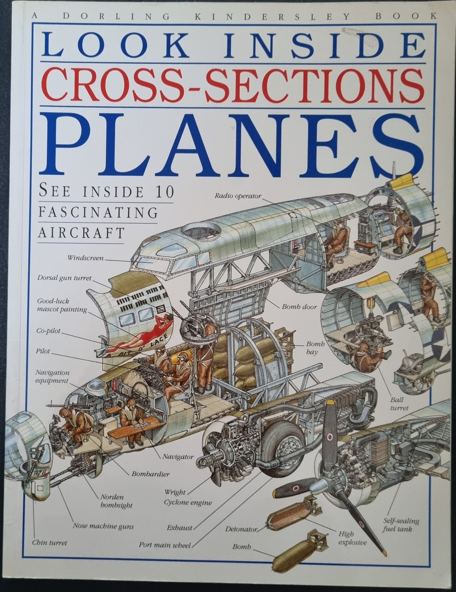 Look Inside Cross-Sections Planes