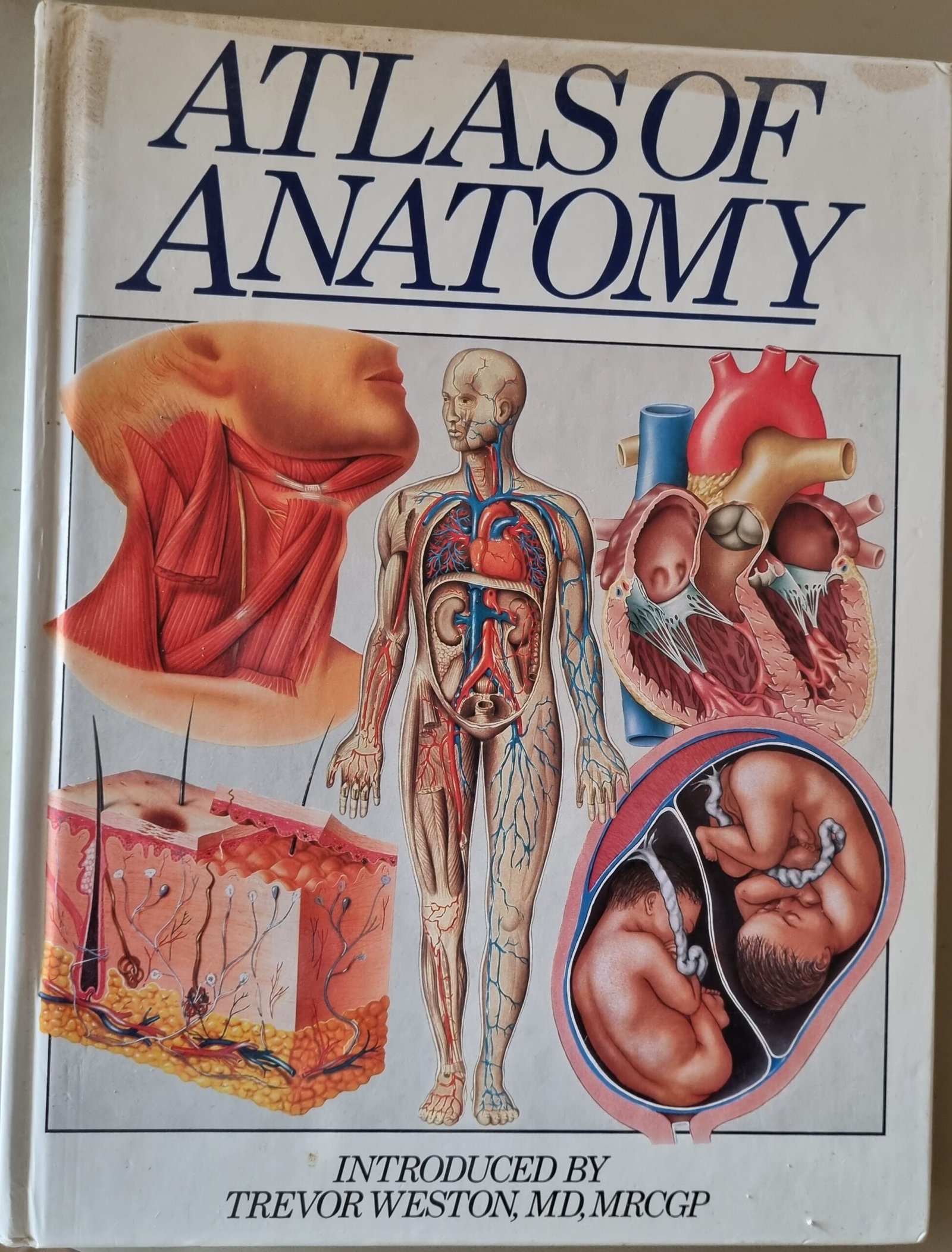 Atlas of Anatomy