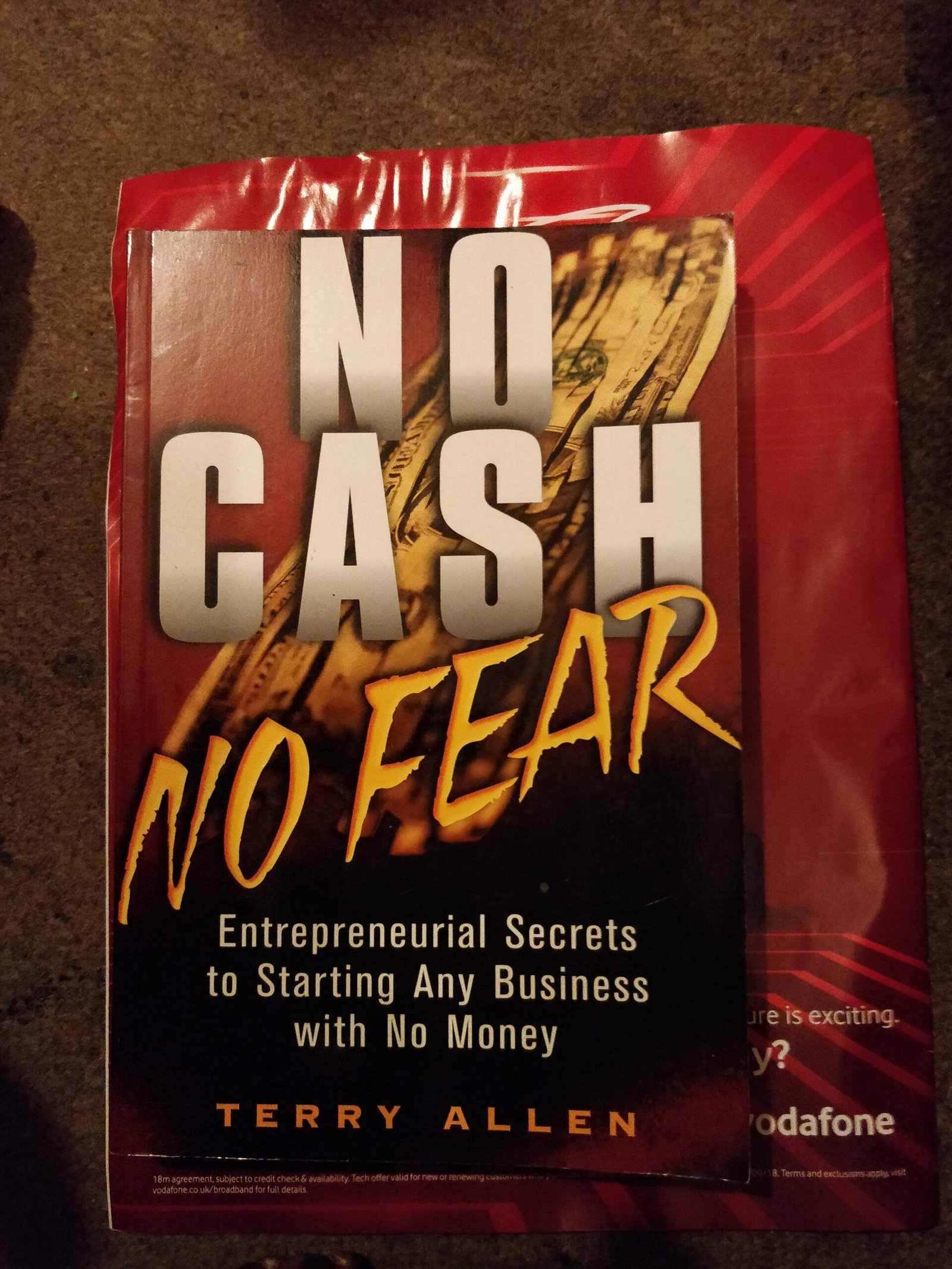 No Cash No Fear: Entrepreneurial Secrets to Starting An Business with No Money
