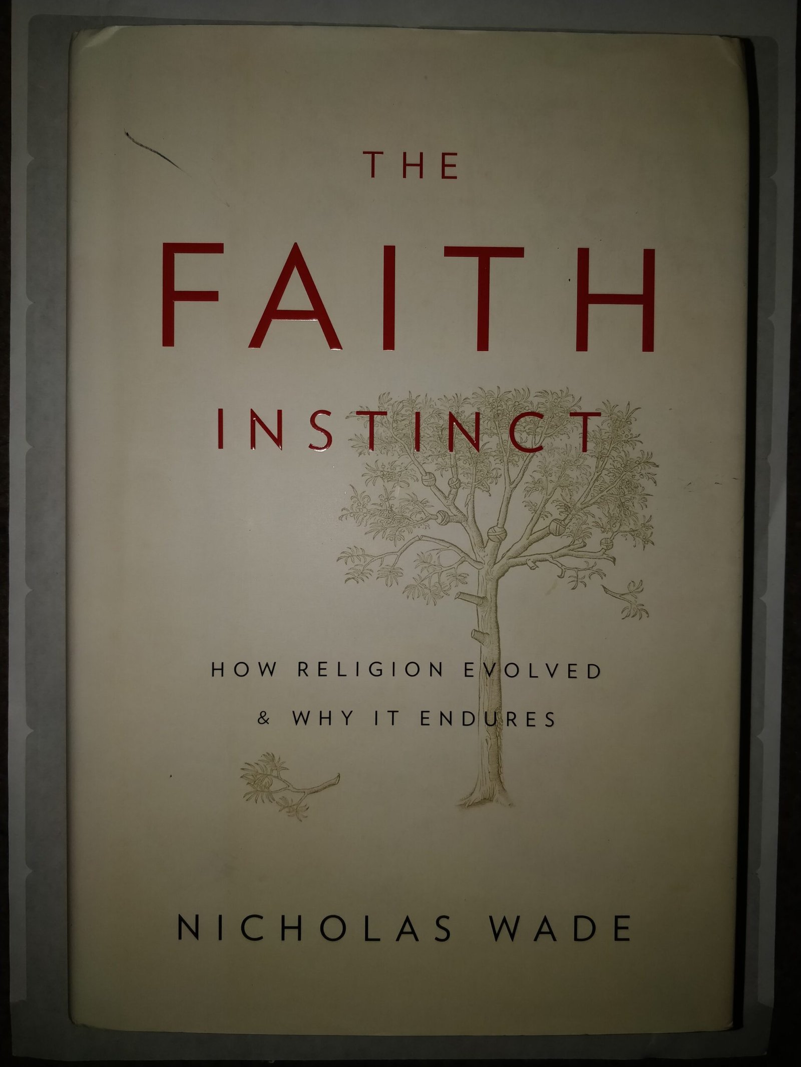 The Faith Instinct: How Religion Evolved & Why It Endures
