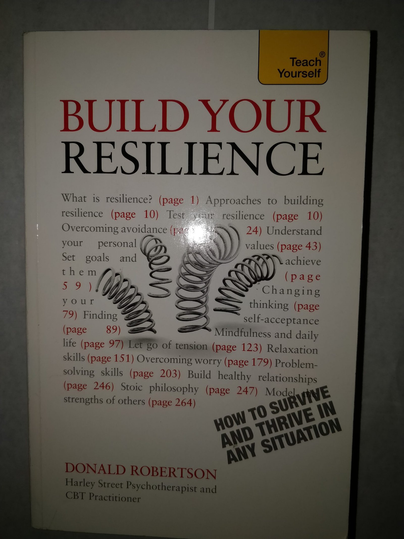 Build Your Resilience: How to Survive and Thrive in Any Situation