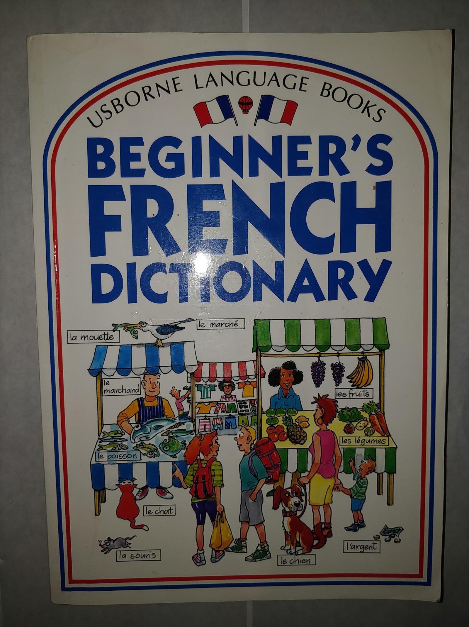 Beginner's French Dictionary