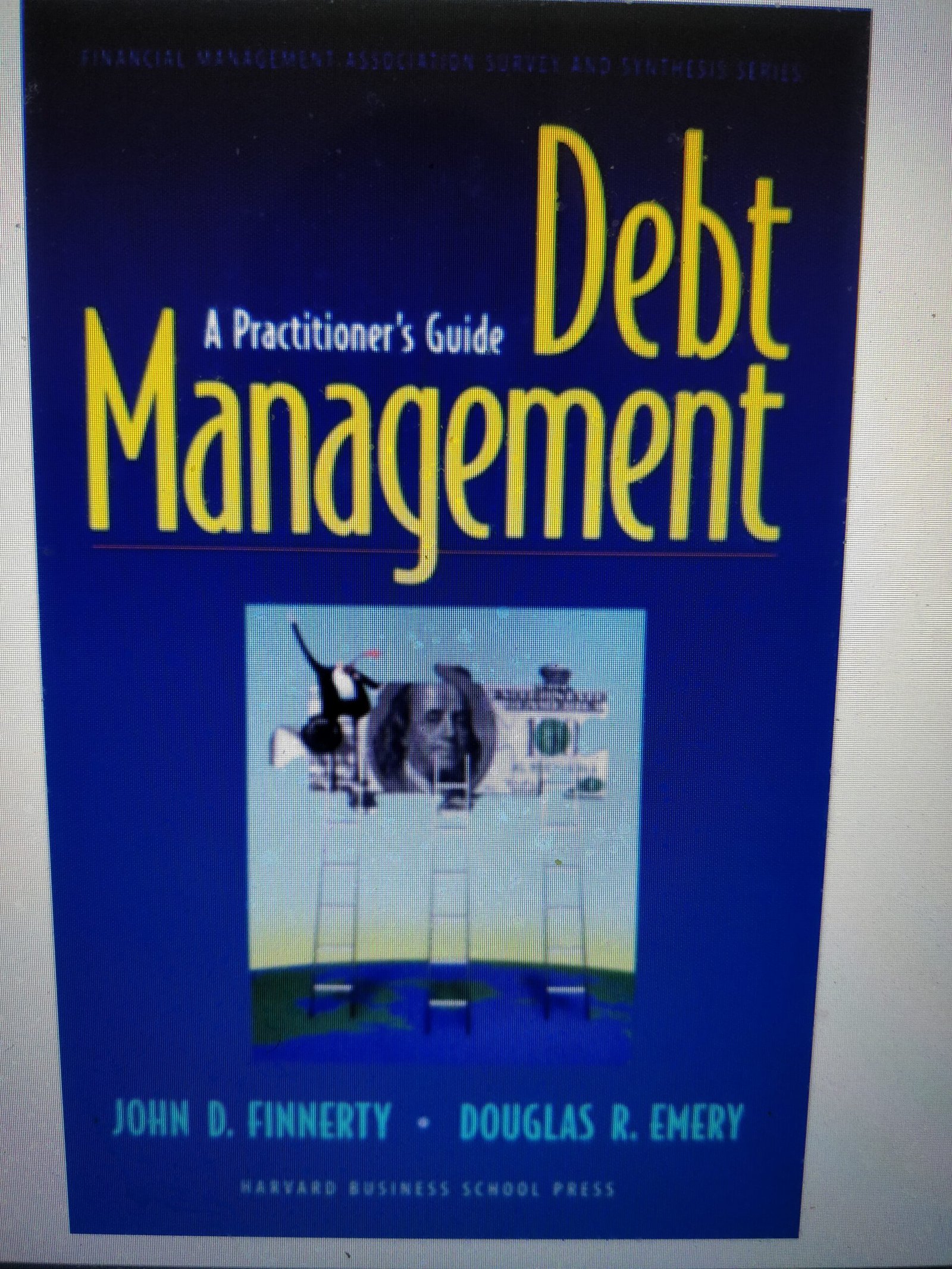 Debt Management: A Practitioner's Guide (Financial Management Association Survey and Synthesis)
