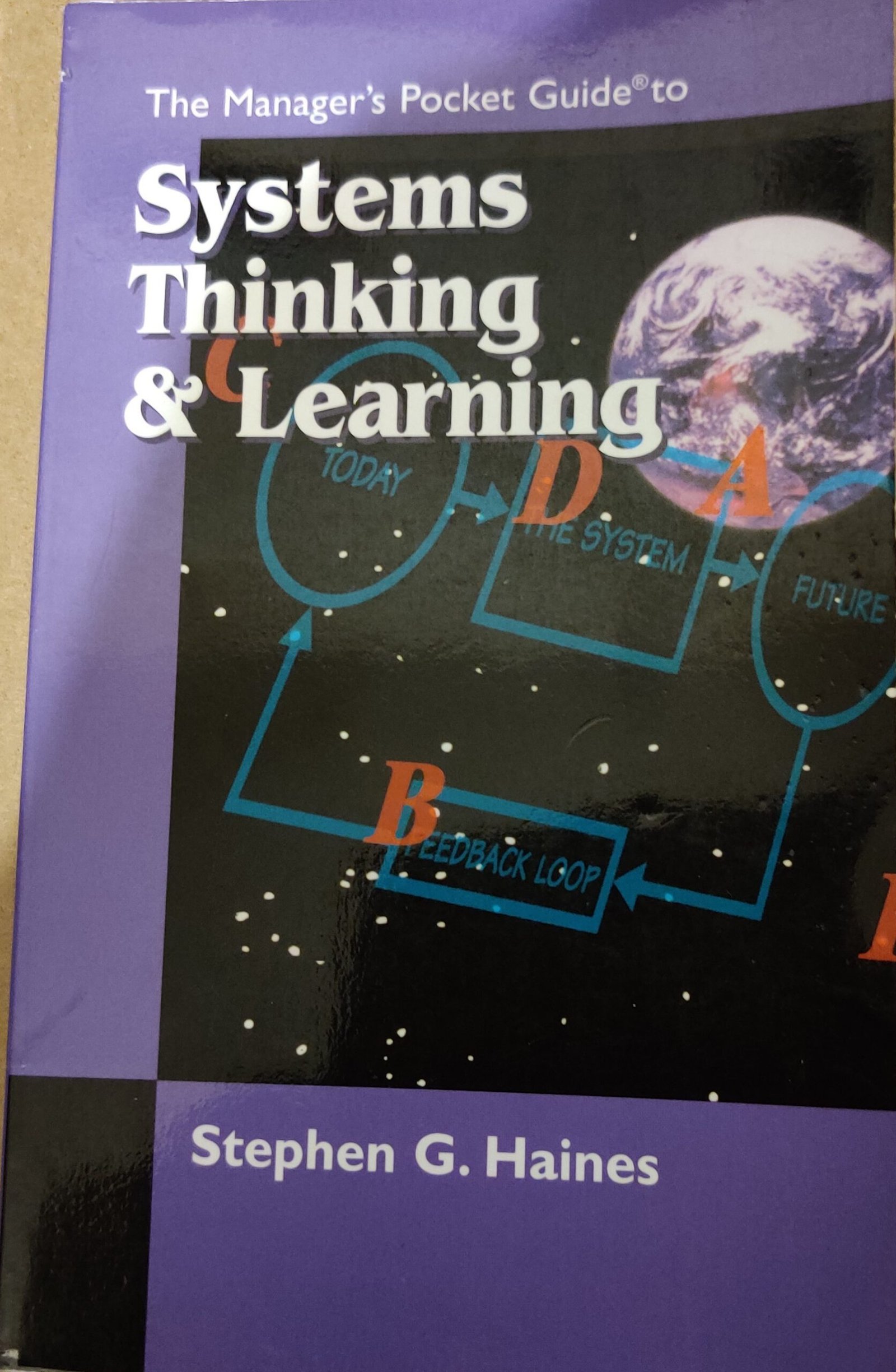 The Manager's Pocket Guide to Systems Thinking & Learning