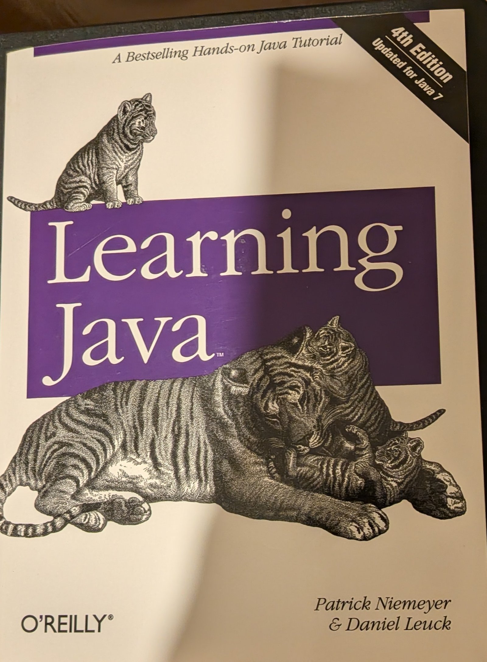 Learning Java (O'reilly) by Patrick Newmeyer &